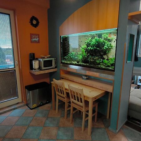 Suk Apartman 24 Suchdol nad Luznici Luaran gambar